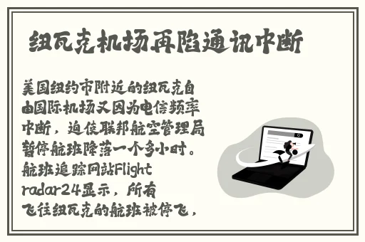 整篇都是车的多肉1V4推荐